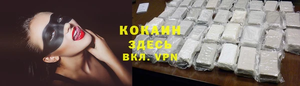 твердый Коряжма