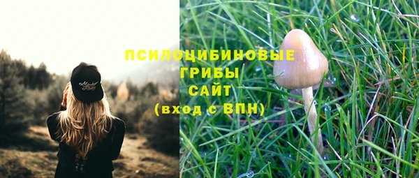 а пвп мука Бородино